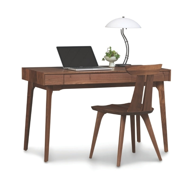 Catalina Desk with Estelle chair, laptop, lamp, and plant.