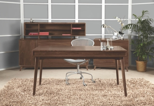 Catalina Desk in decorated office with credenza with hutch, file, chair, and rug.