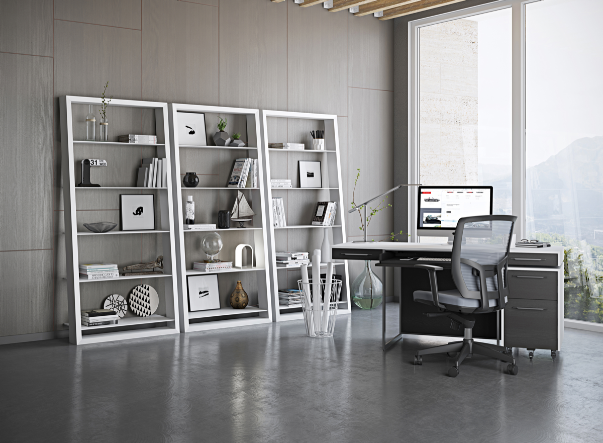 Bookcases & Shelves
