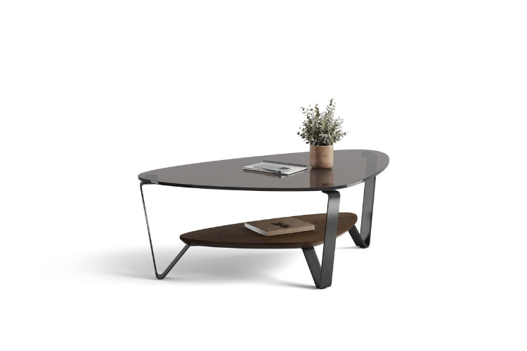 Dino 1364 Small Coffee Table in Toasted Oak with notebooks and plant