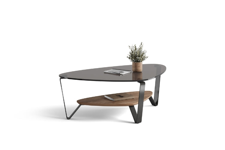 Dino 1364 Small Coffee Table in Walnut with notebooks and plant