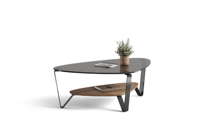 Dino 1364 Small Coffee Table in Walnut with notebooks and plant