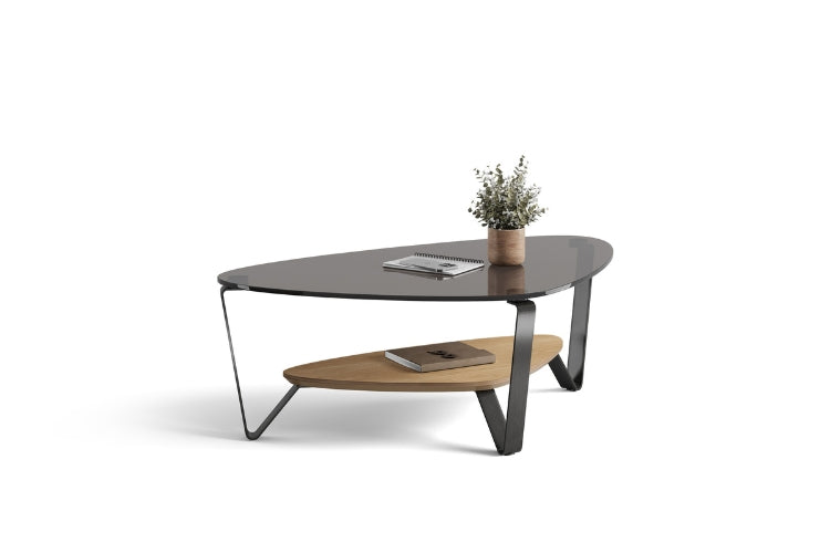 Dino 1364 Small Coffee Table in Washed Oak with notebooks and plant