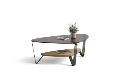 Dino 1364 Small Coffee Table in Washed Oak with notebooks and plant