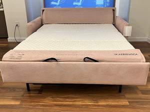 Pearson Queen Sleeper with Premier Mattress