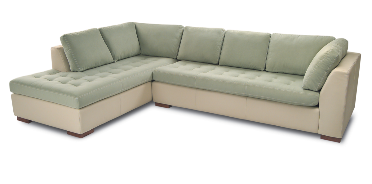 Astoria Sectional 2 toned