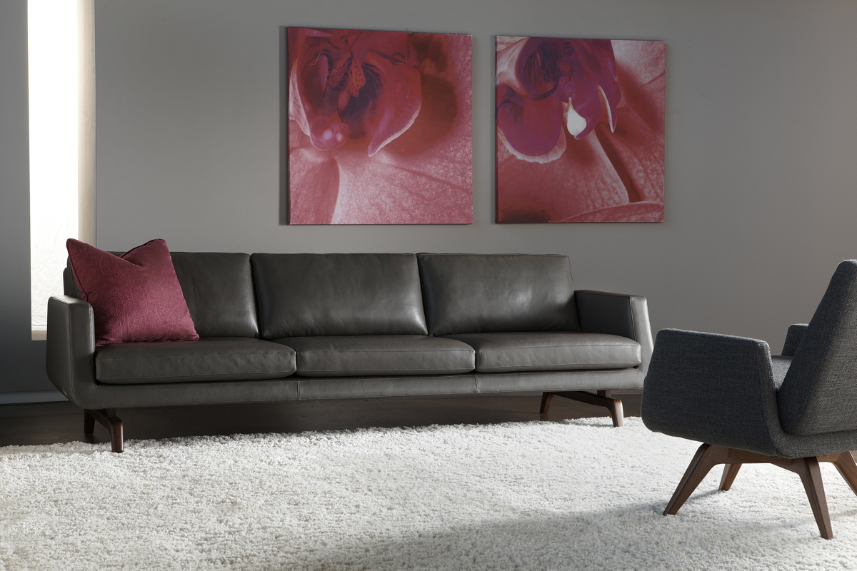 Nash Sofa Bison Charcoal Room