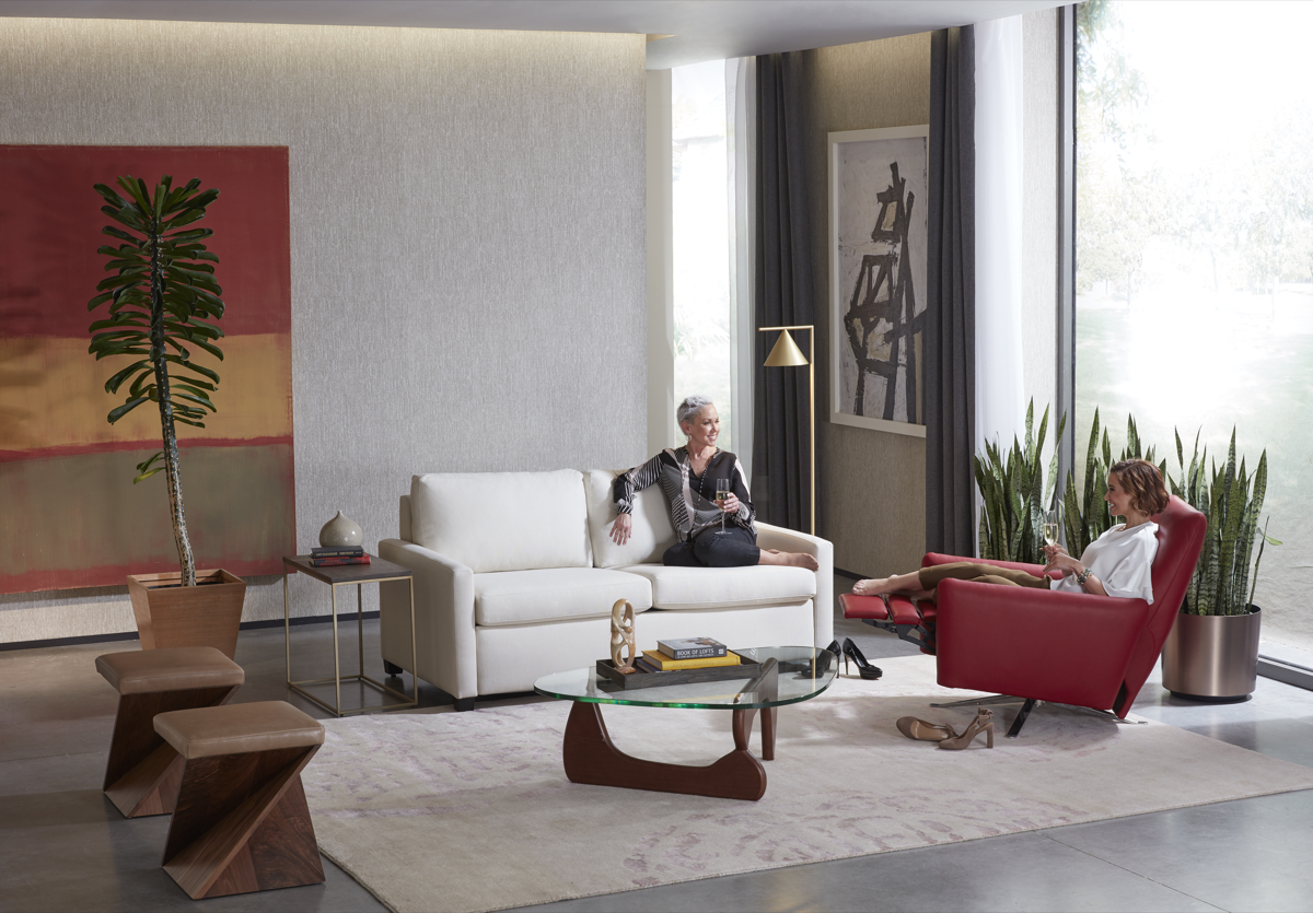 Living Room view of Palmer Silver Comfort Sleeper by American Leather