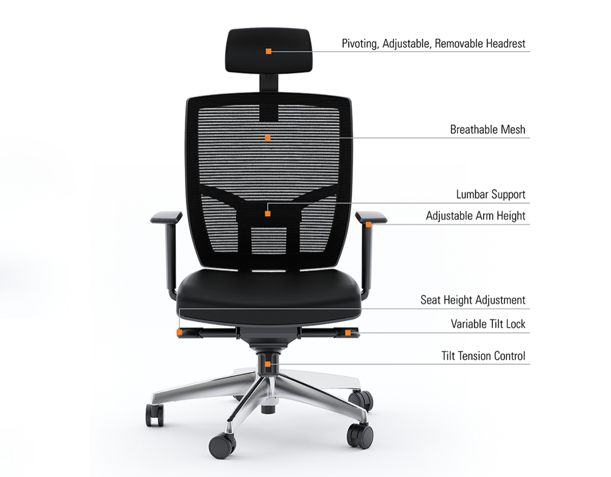 Office chair with mesh back picture point out all the design features. 