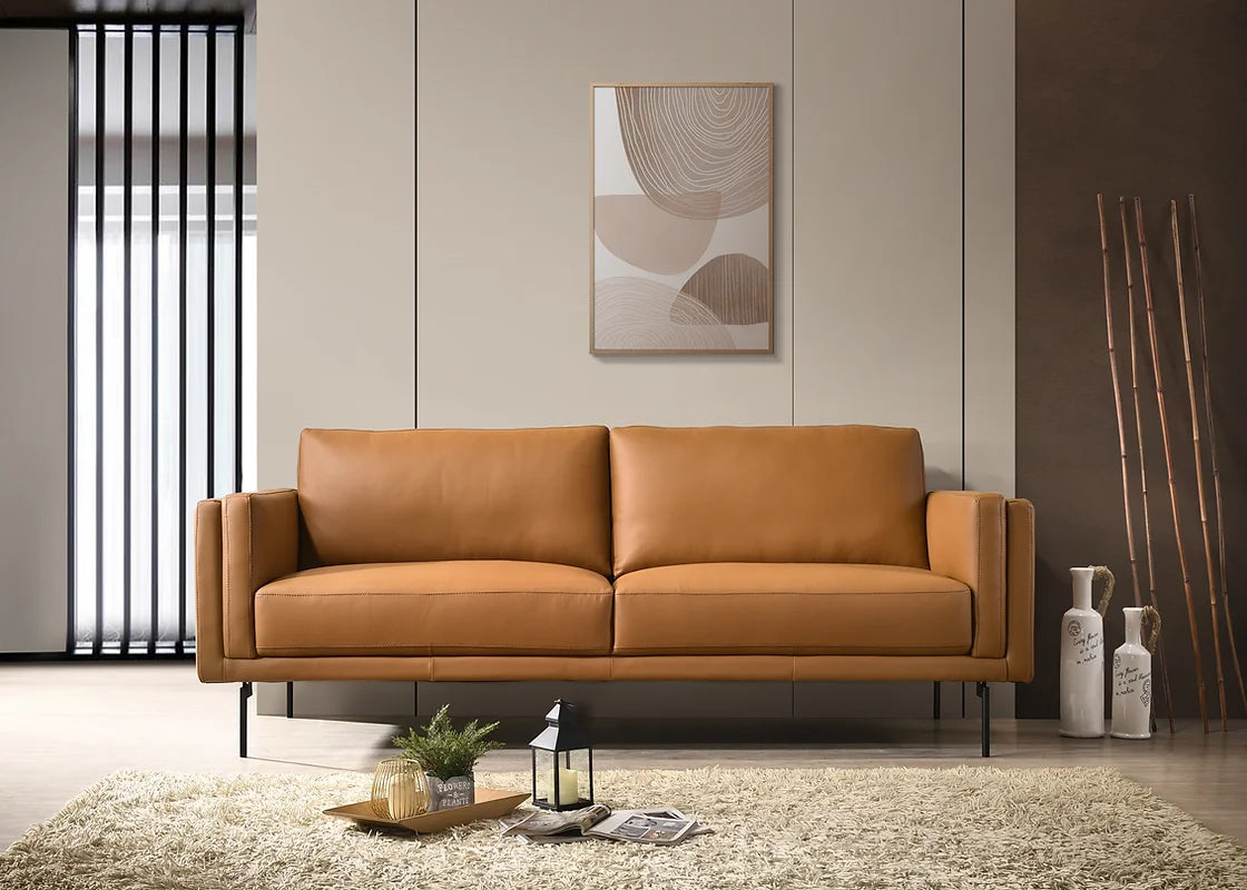 Nordic Sofa Saddle Leather Room